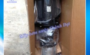 Báo giá máy bơm trục đứng Ebara tại Cao Bằng