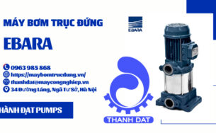 Báo giá máy bơm trục đứng Ebara tại Nam Định