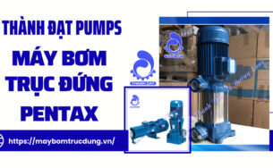 Báo giá máy bơm trục đứng Pentax tại Khánh Hòa